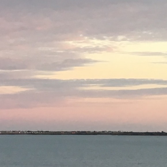 srose39